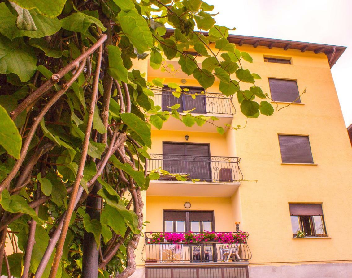 Pergolato Alpino P.Terra Apartamento Teglio Exterior foto
